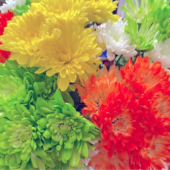 EASTER SALE - Picture 1 of 1